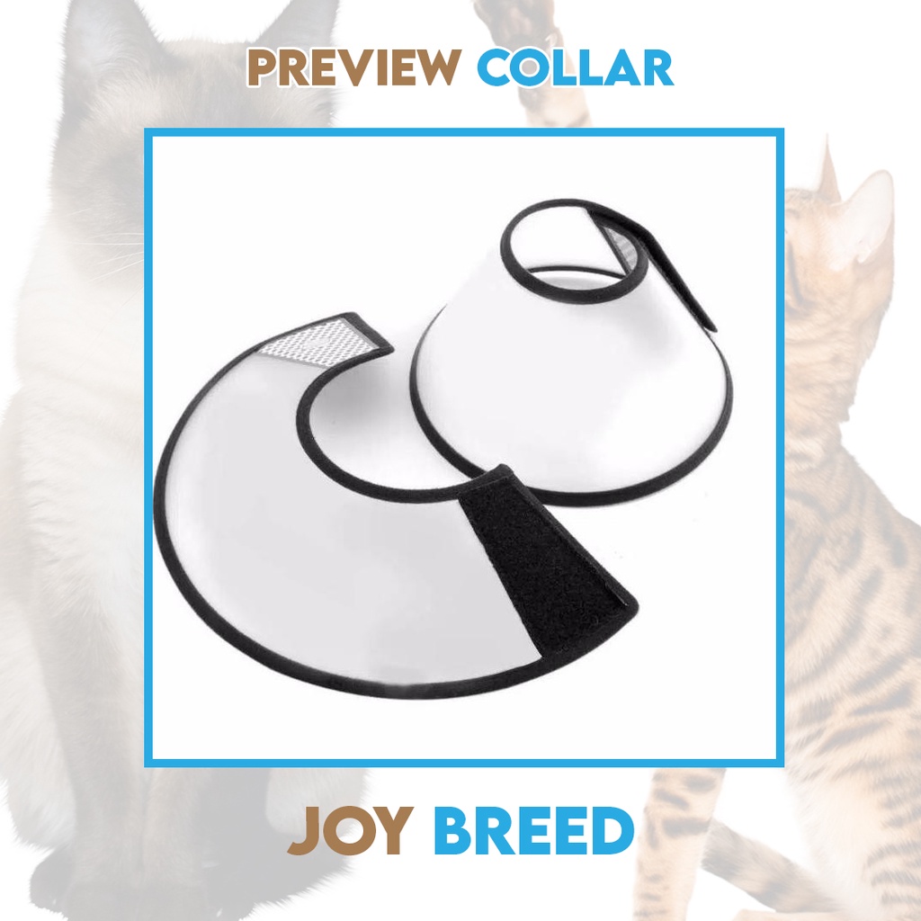 COLLAR PET CORONG KUCING ANJING KELINCI UKURAN SEDANG