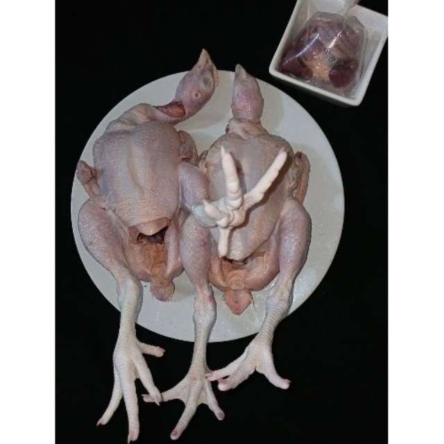 

Ayam Segar Tanpa Suntikan