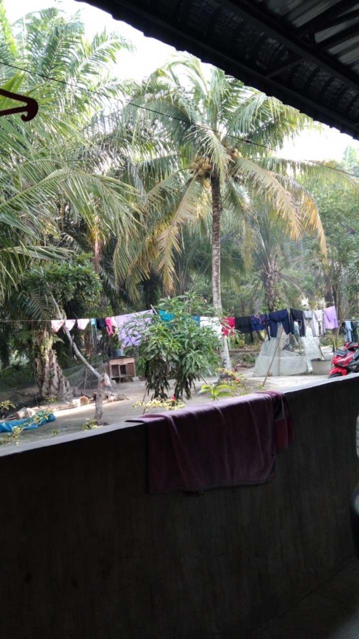 Kemeja Batik Pria Lengan Pendek Bs93 Katun Motif Modern Dixmont Semi Slimfit