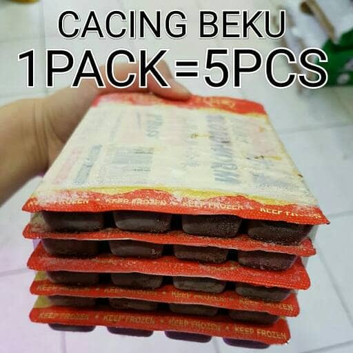 (GOJEK) CACING BEKU 5PCS BIG BOSS / MAKANAN FROZEN BLOODWORM