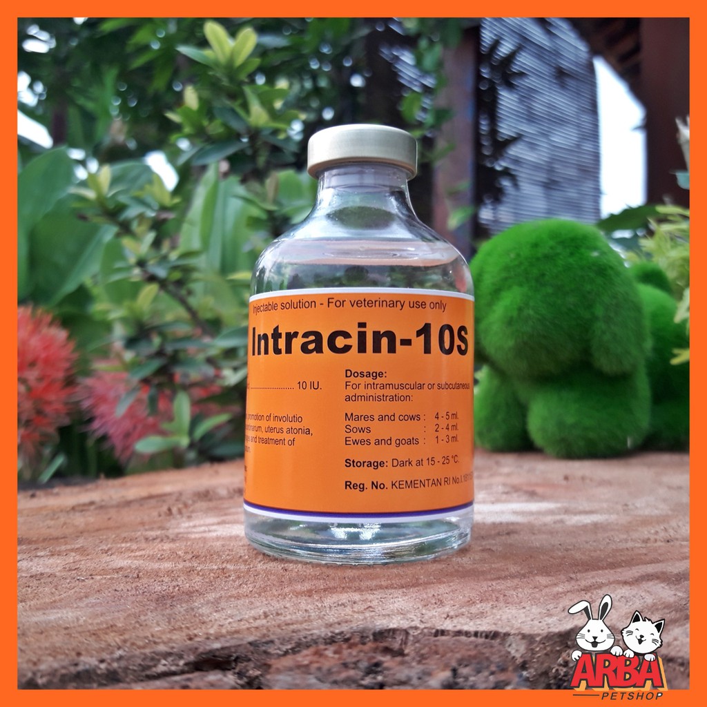 INTRACIN 10S (Oxytocin 10) Hormon Perangsang Kontraksi Uterus Kelenjar Susu Hewan KELINCI SAPI 10 ML