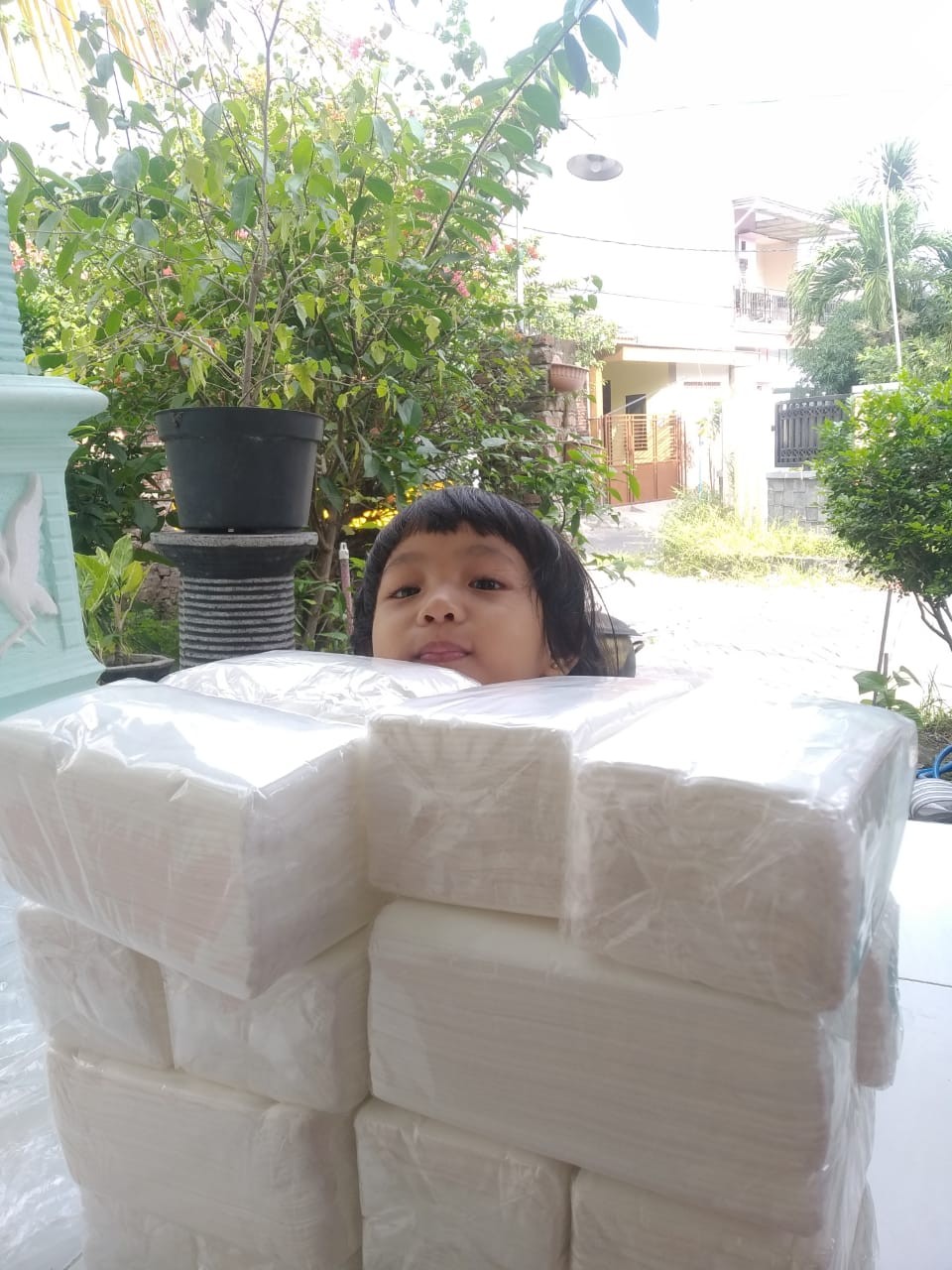 Tisu Kering/tisu Dapur/tisu Serbaguna