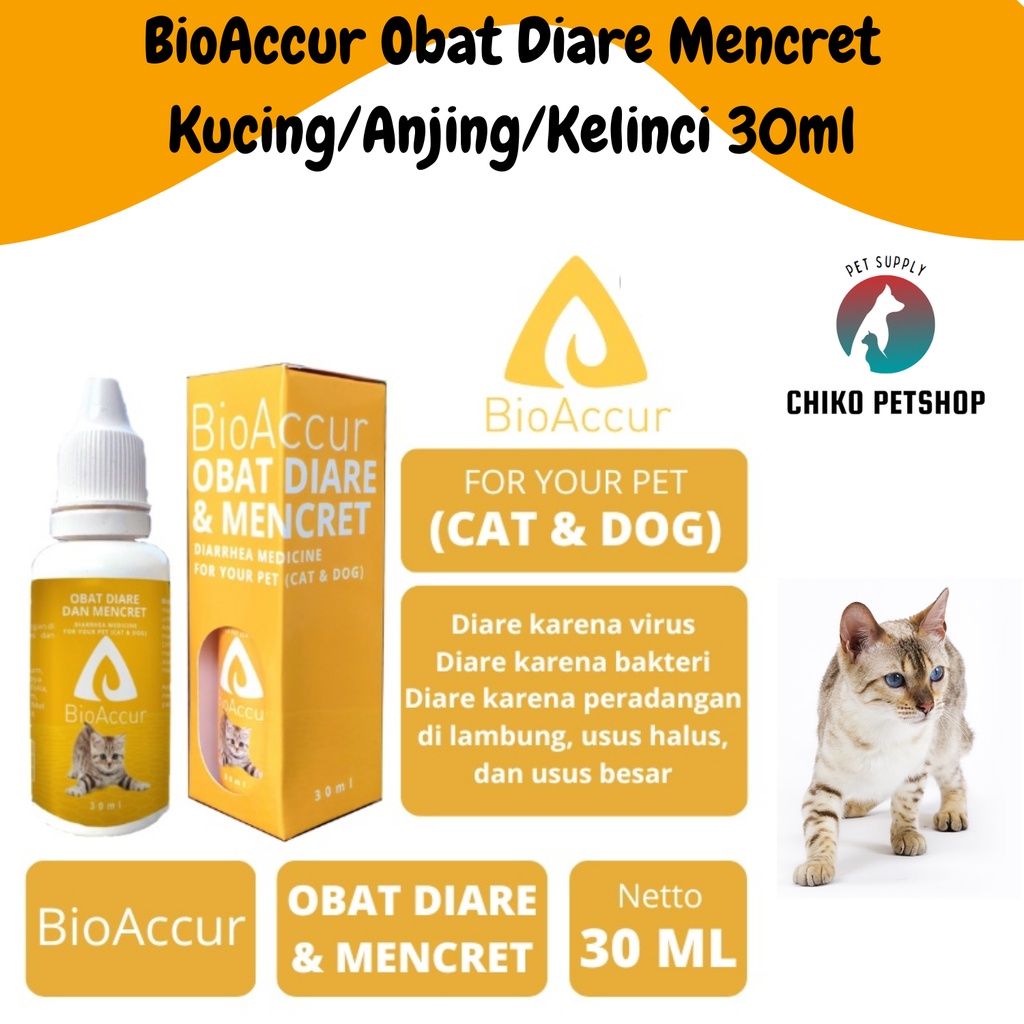 BioAccur Obat Diare Mencret Kucing/Anjing/Kelinci 30ml - BIO ACCUR