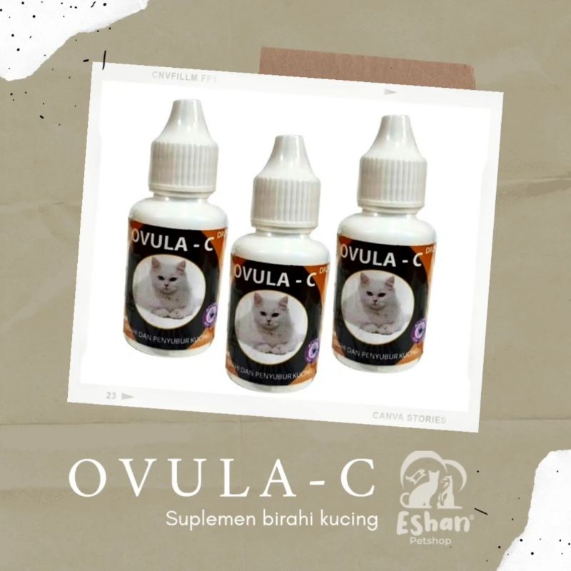 OVULA-C