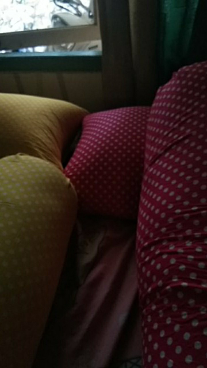 Bantal Dan Guling Memory Foam Bermotif Dotty Kenyal Dan Awet