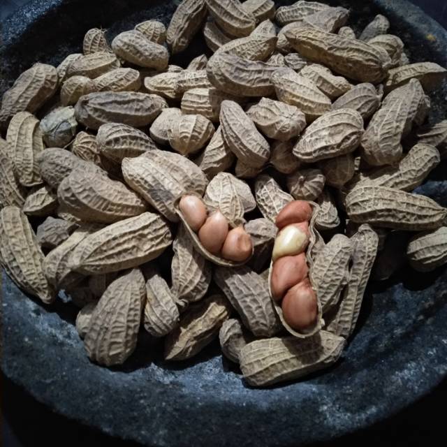 

Kacang Blitar Renyah Super 500 gram