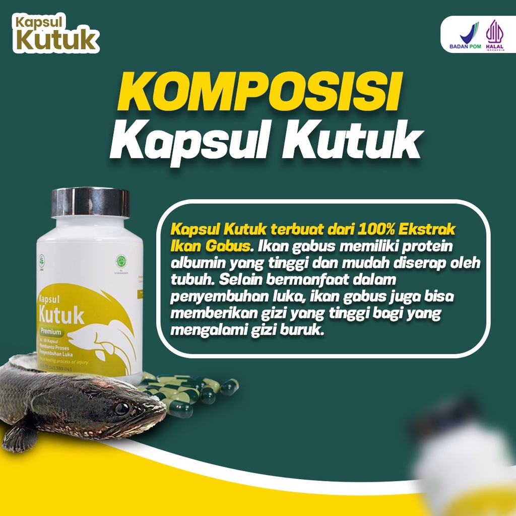 Kapsul Kutuk Paket Istimewa 5 Botol Obat Luka Cepat Sembuh Pasca Operasi Ekstrak Albumin Ikan Gabus Perlancar ASI Tingkatkan Daya Tahan Tubuh Isi 60 Kapsul