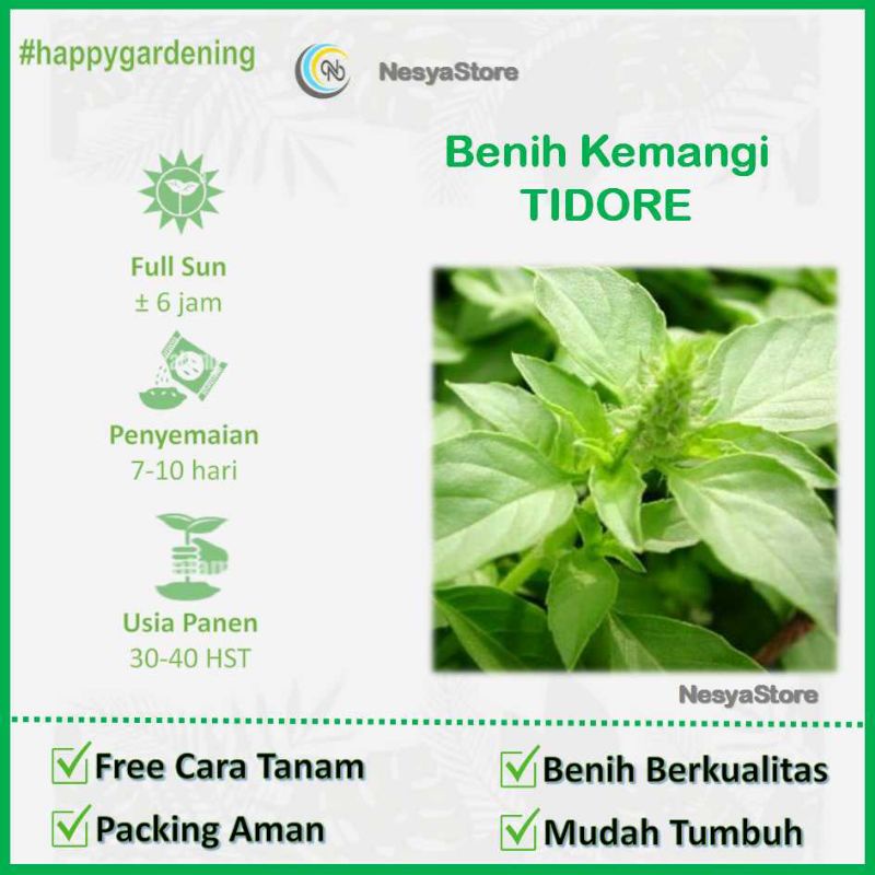 200 Benih Biji Kemangi Tidore Garuda Seed