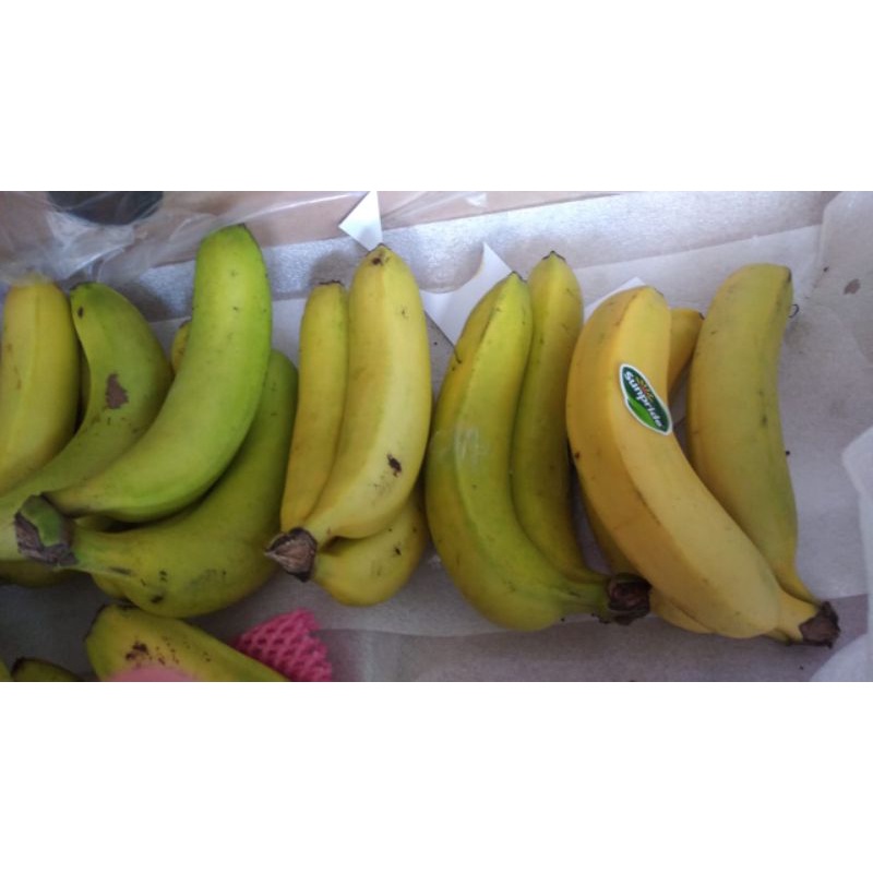 

pisang cavendish sunpride