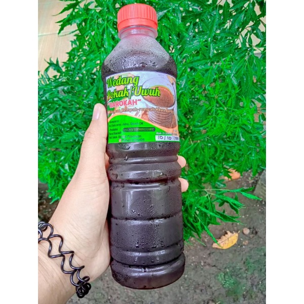 

jamu pokak/uwuh untung menambah kekebalan tubuh