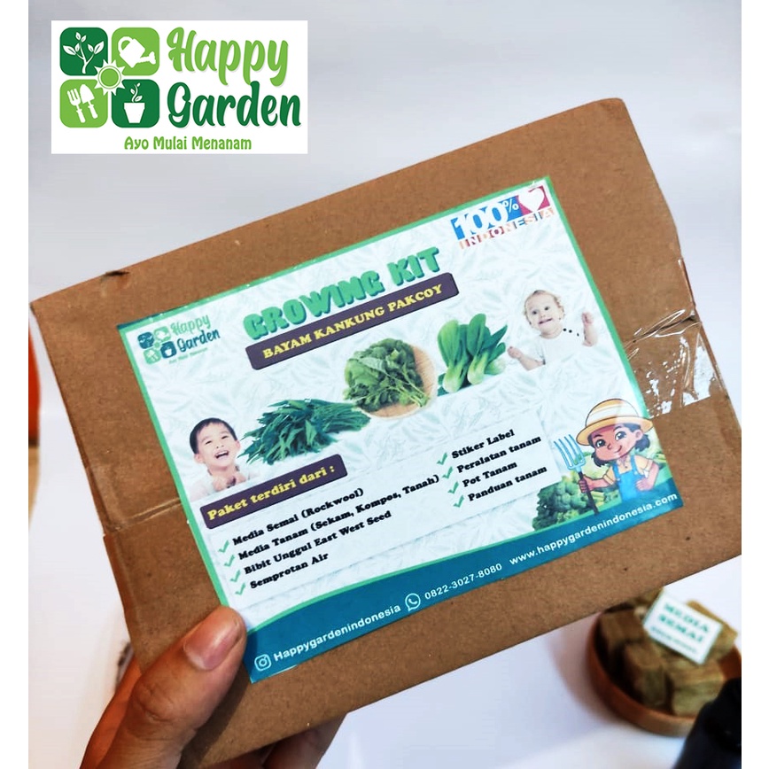 PAKET MENANAM ANAK GROWING KIT BAYAM KANGKUNG POKCOY MAINAN ANAK