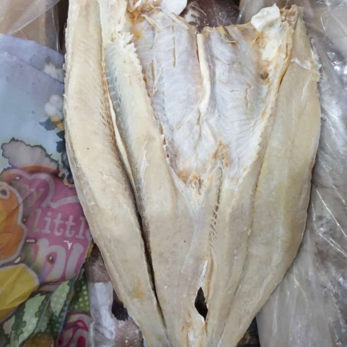

Ikan Jambal Roti 1 Utuh Fresh