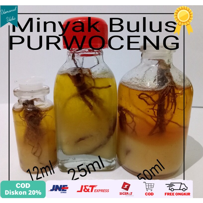 

❤COD❤ MINYAK BULUS GINSENG JAWA 50ml