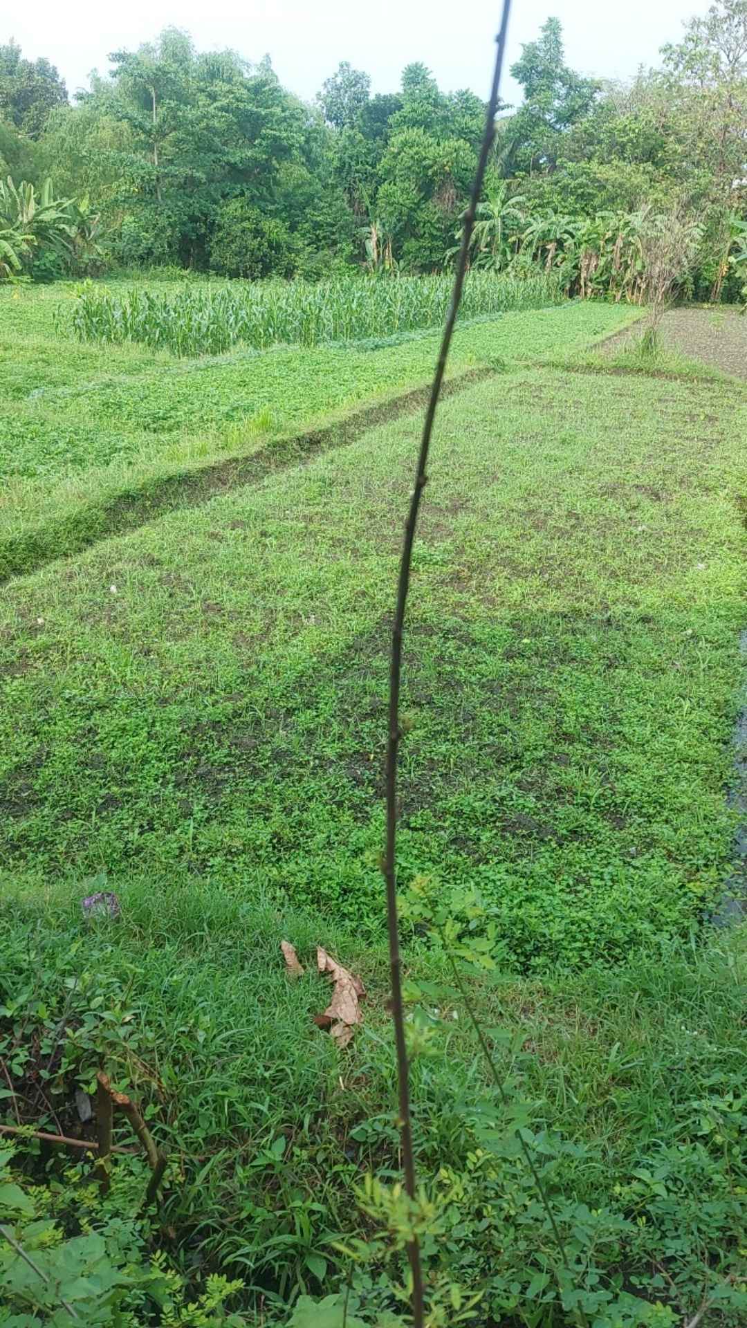 Tekiro 1/2 Dr Impact Extension Bar 3