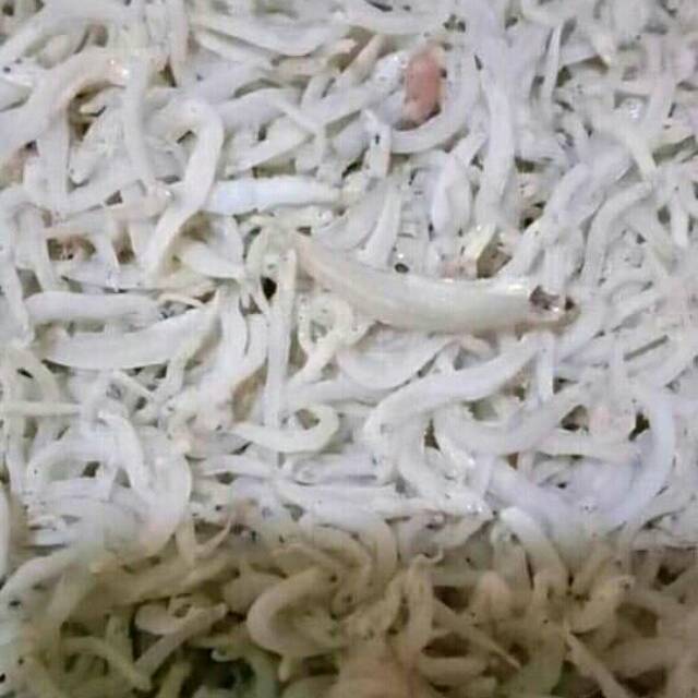 

Ikan Teri Nasi Medan Super