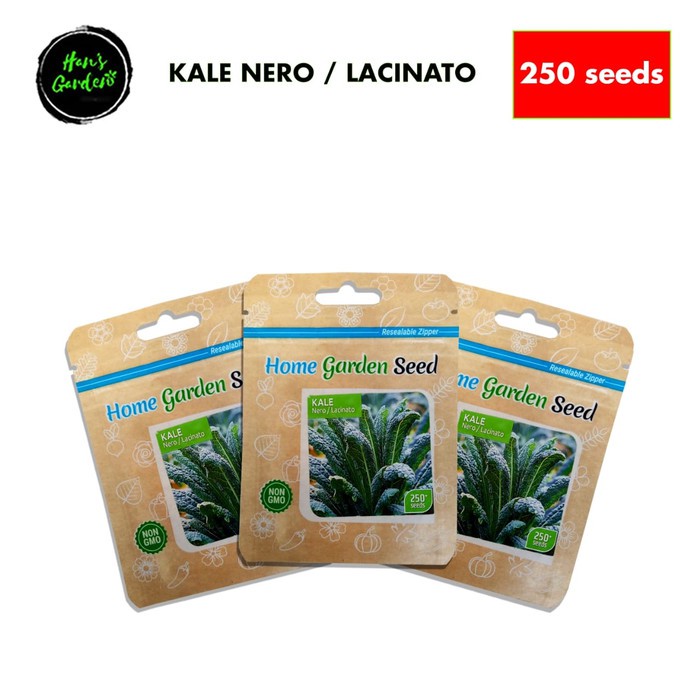 Bibit benih kale nero home garden seed 250 seeds