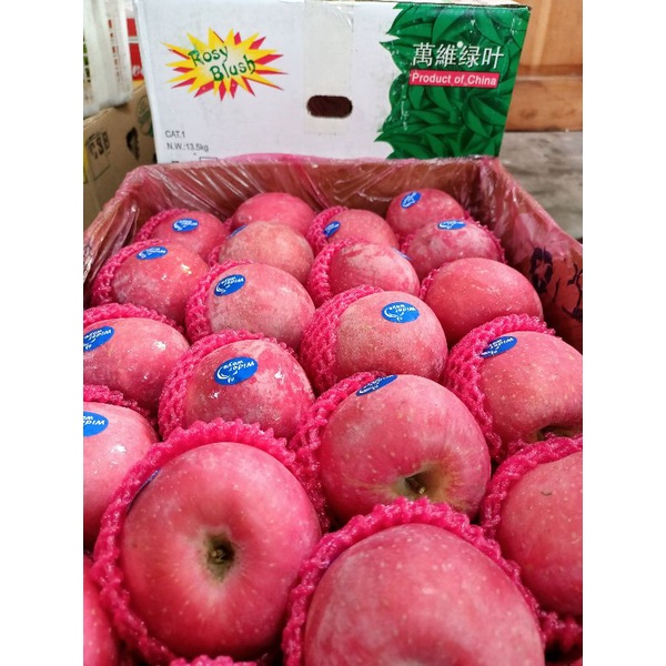 

APEL FUJI PREMIUM 1KG