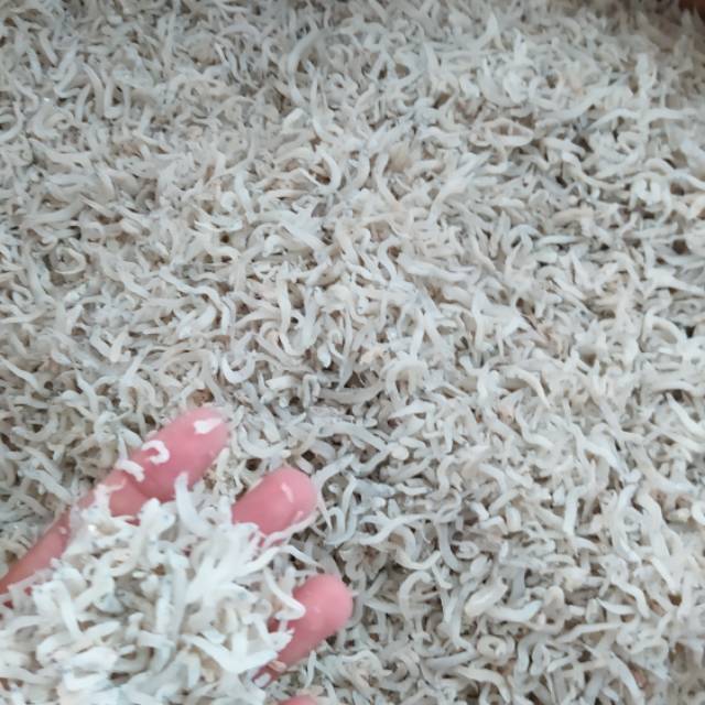 

Teri Medan / Teri Nasi / Teri Toge