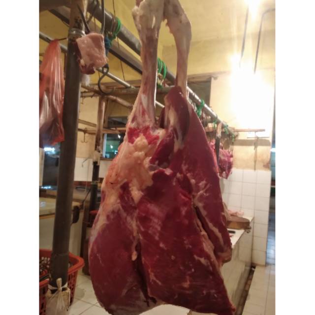 

Daging sapi fresh paha