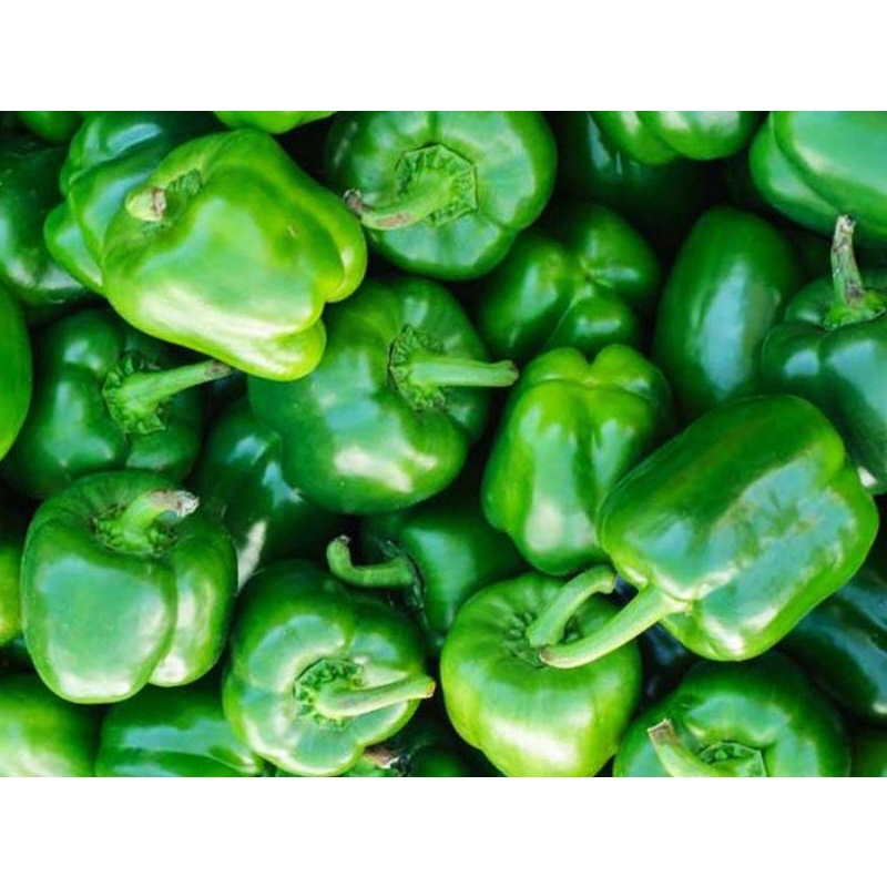 

Paprika hijau (500gram)