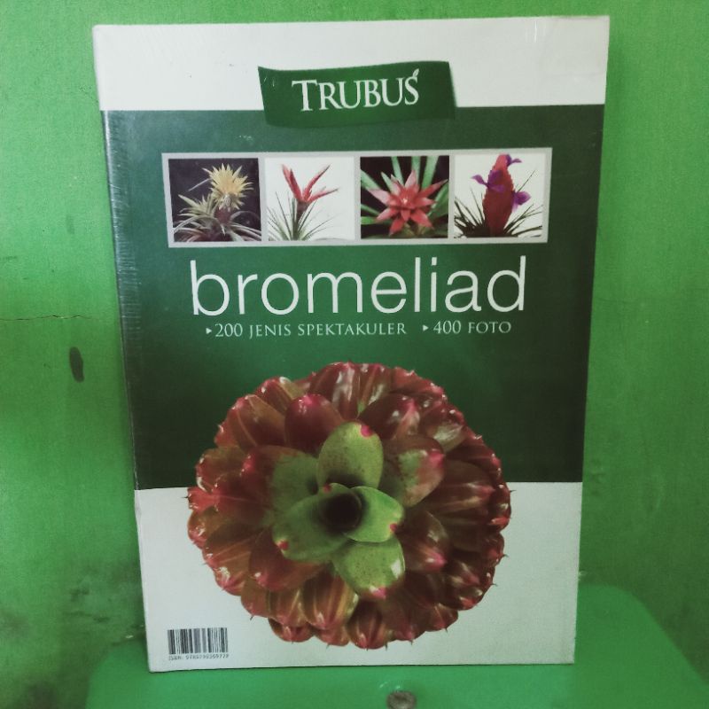 Buku ORI Bromeliad- C