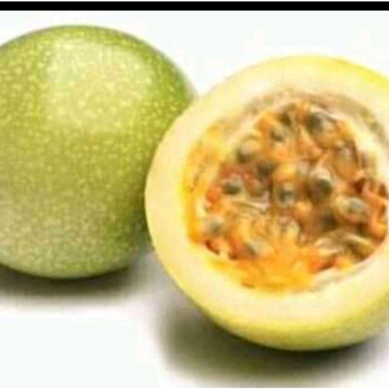 

BUAH MARKISA SEGAR 500 Grm