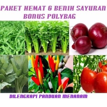Paket Hemat 6 Benih Sayuran + Bonus Polybag (Bibit Tanaman)