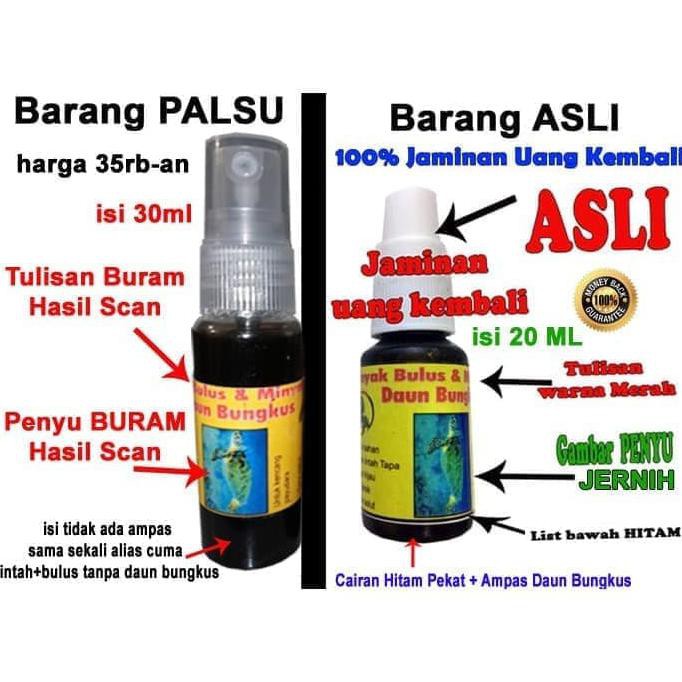 Minyak Bulus+Lintah Hitam+Daun Bungkus ASLI PAPUA 100% ORIGINAL 20ml