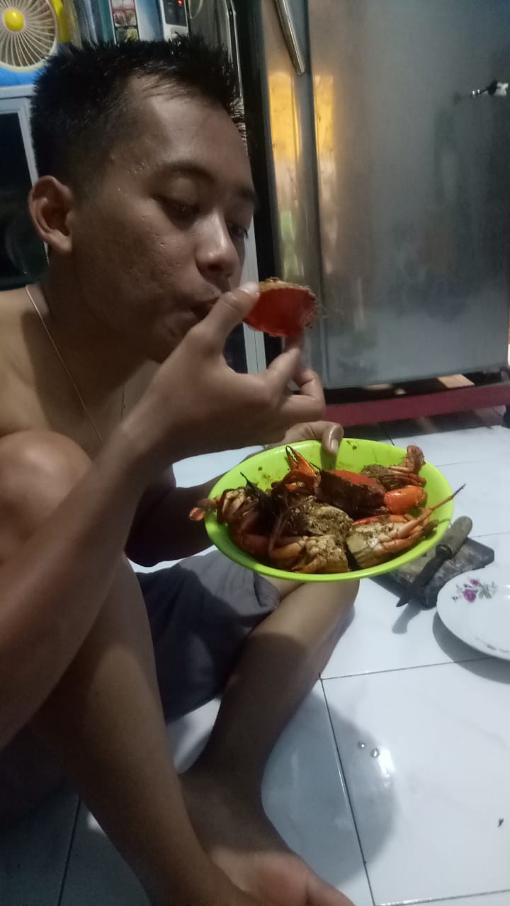 Handle Pintu Rumah 25 Cm Bulat Sabit D2cm Tarikan Pintu Kayu Gagang Pintu Kunci Pintu Natural Coklat