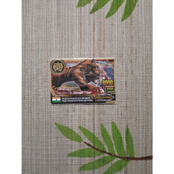 Bengal Tiger animal kaiser (ORI)