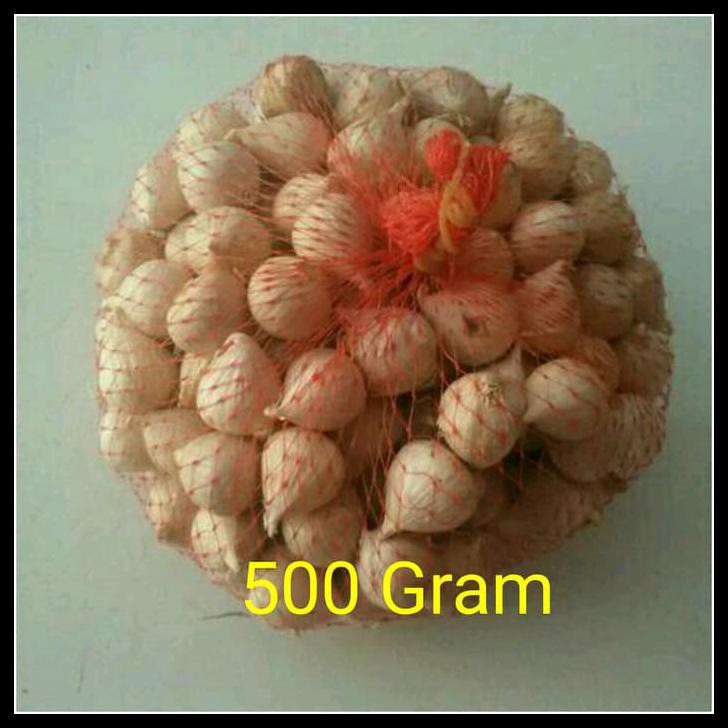 

BAWANG PUTIH TUNGGAL / BAWANG LANANG