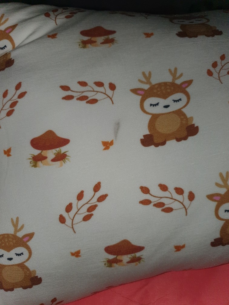 Hikarusa Pillow/bolster With Case