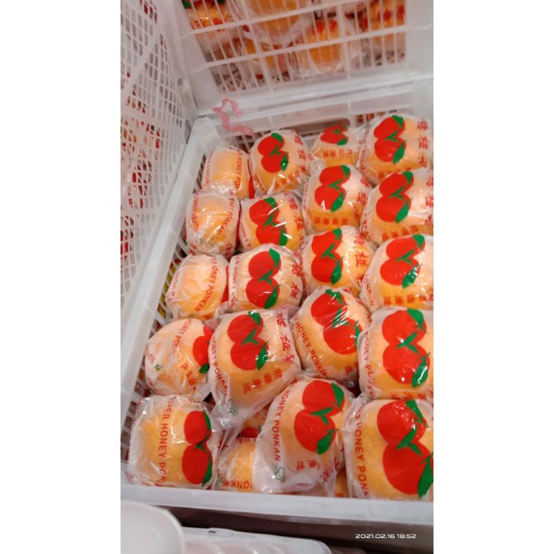 BUAH JERUK PONKAM 1 KERANJANG