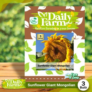 Bunga Matahari Russian Giant : Helianthus Annuus Russian Giant Bbc Gardeners World Magazine / Beli benih bibit bunga matahari online terdekat di jombang berkualitas dengan harga murah terbaru 2021 di tokopedia!