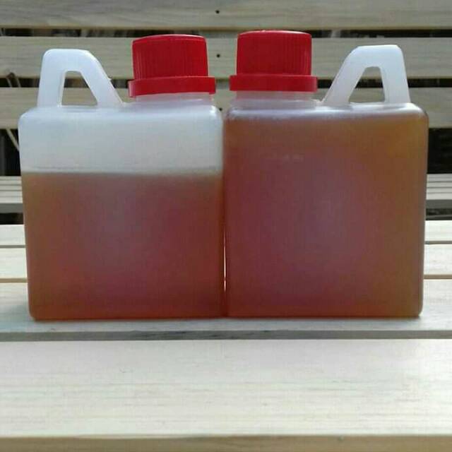 

Madu lebah murni