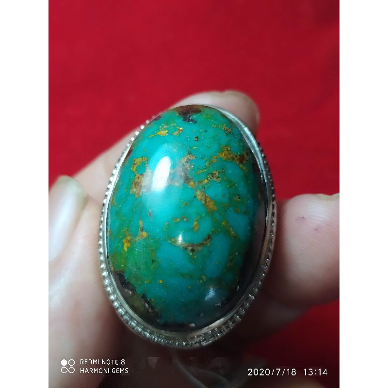 natural pirus serat kuning est Persia bukan bacan atau sungai Dareh