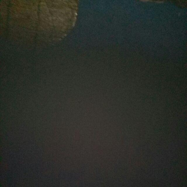 Lemon Juicer/alat Peras Jeruk Manual