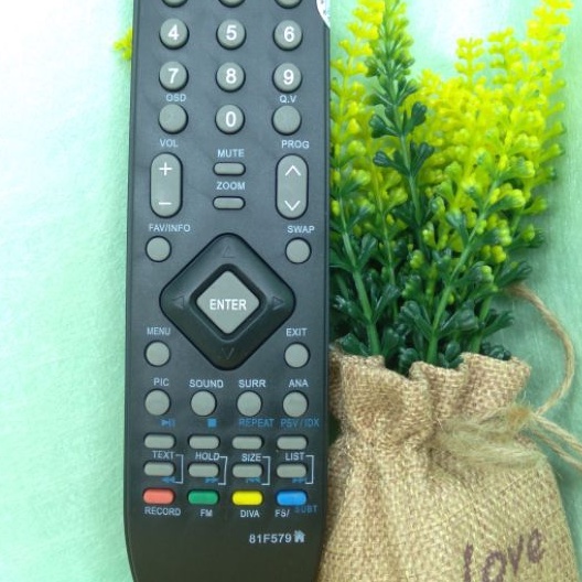 REMOTE TV POLYTRON LED