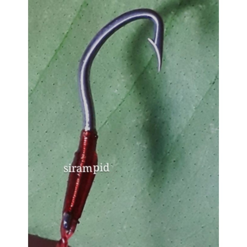 kail pancing welut model rampid