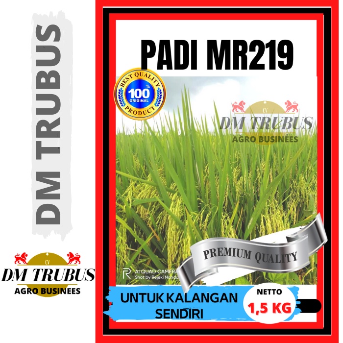 Benih Padi Unggul Premium MR219 Aceh  Berat 1,5 kg ORIGINAL