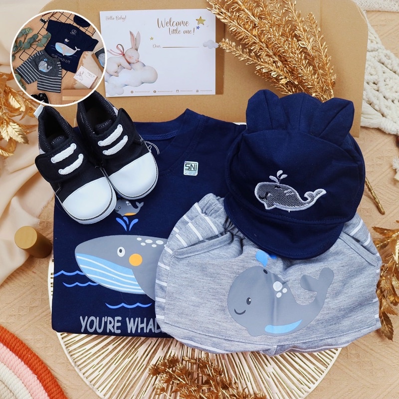 BARU! LIO045 Boys Baby Hampers 0-12 months/ Hampers bayi newborn/ Kado bayi/ baby boys gift set