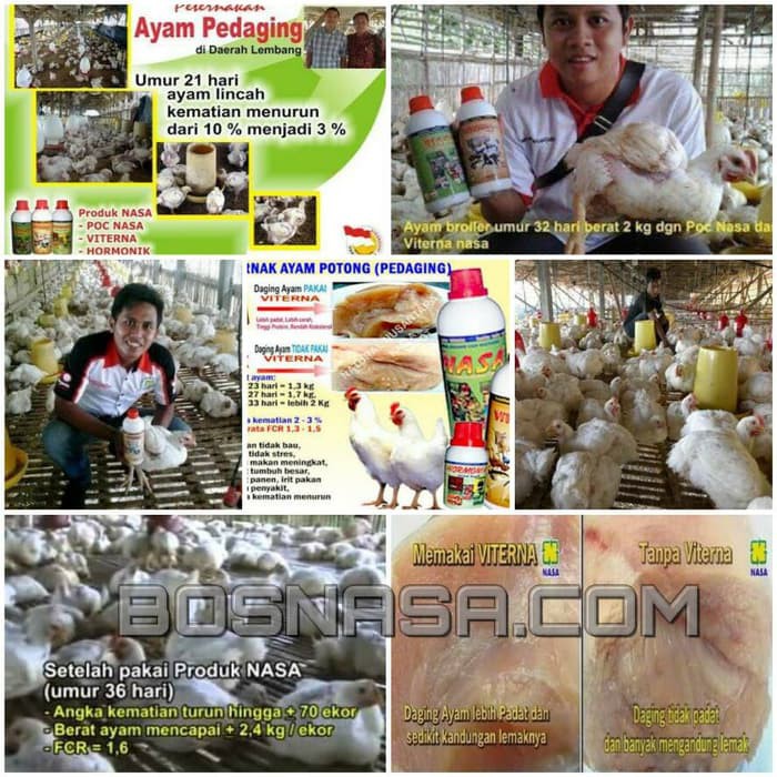 Paket Vitamin AYAM PEDADING ( POC NASA , HORMONIK , VITERNA ) Terlaris