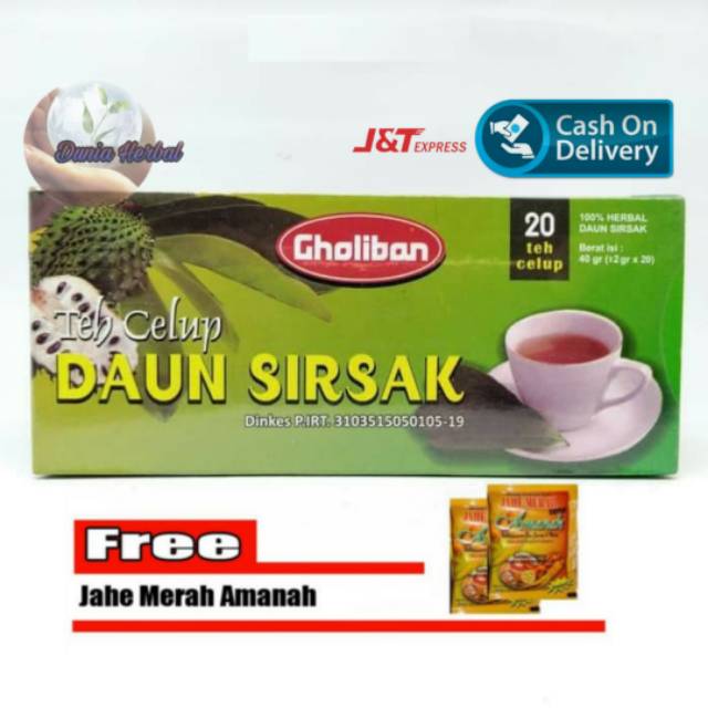 

Teh Celup Daun Sirsak - Gholiban