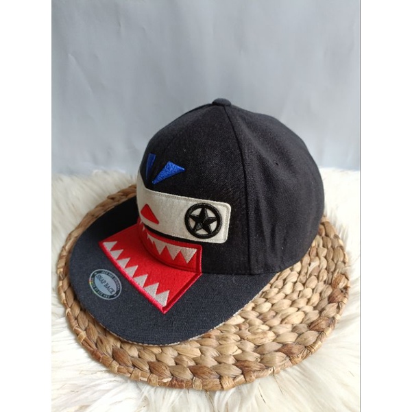 Topi Karakter ACE H&C N'cer Dewasa