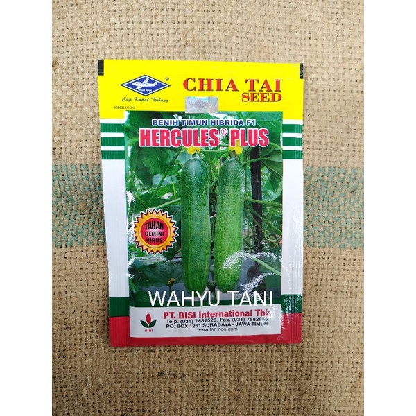 BENIH TIMUN HIBRIDA HERCULES PLUS 10 GRAM