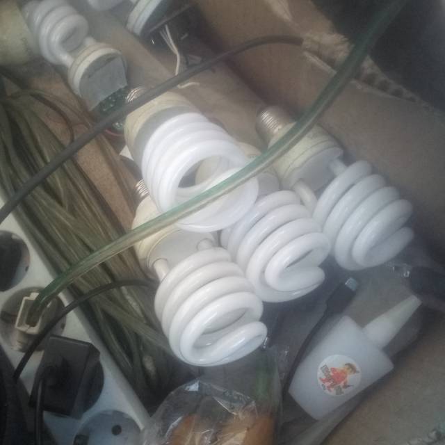 Lampu servisan