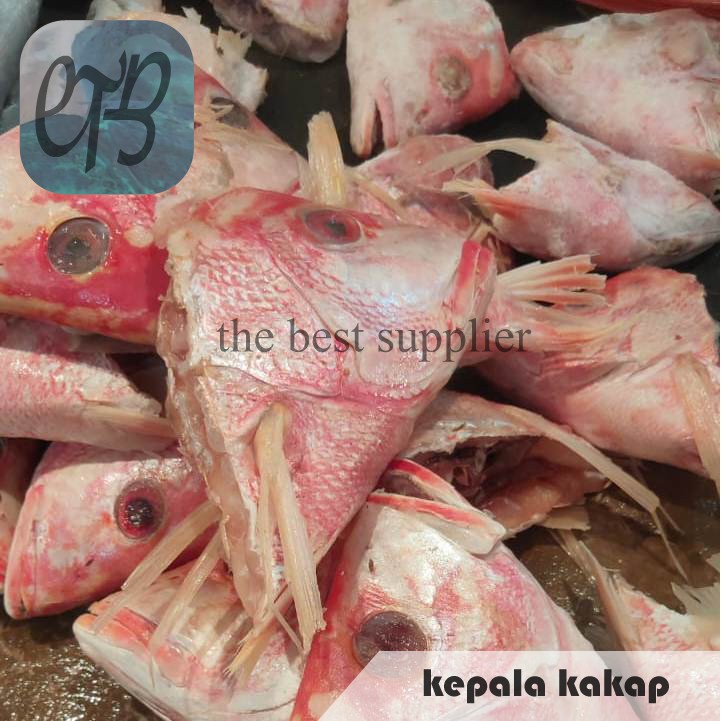 

Kepala Ikan Kakap Segar