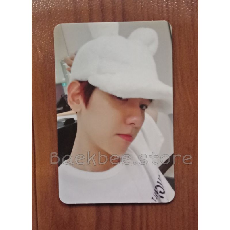 PC BAEKHYUN BUNNY B | EXO PHOTOCARD