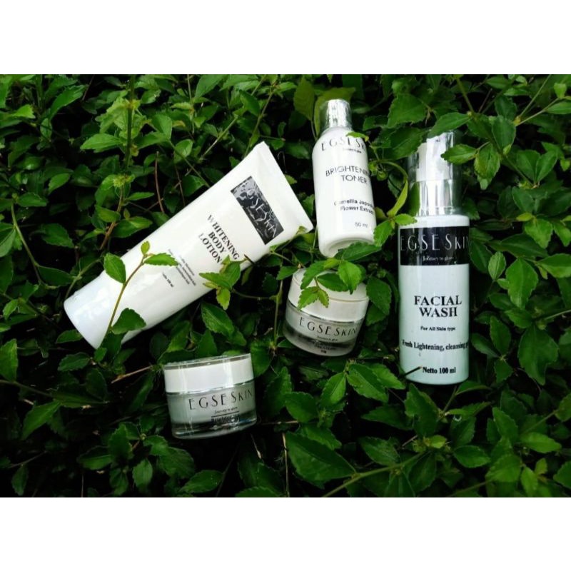 EGSESKIN paket produk perawatan wajah dan tubuh/skincare/Pemutih wajah