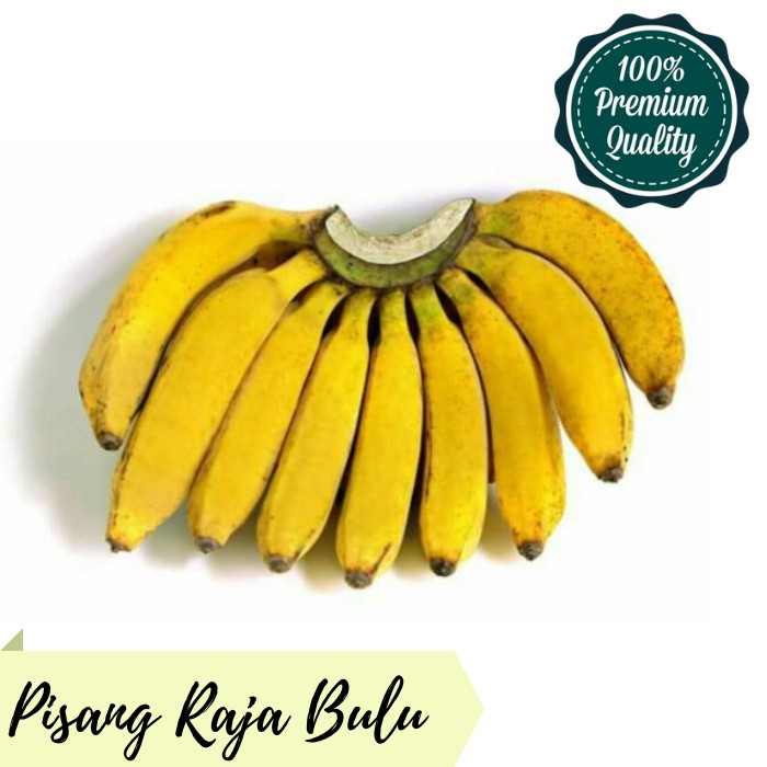 

PISANG RAJA BULU SEGAR BANDUNG 1 KG